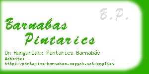 barnabas pintarics business card